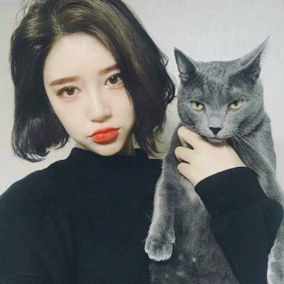 东京（明治维新后故事主要发生地） - 少儿动画片免费在线观看 - 电脑影视